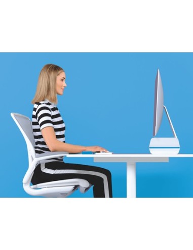 Leitz 65040036 supporto da tavolo per Tv a schermo piatto 68,6 cm (27") Blu, Bianco