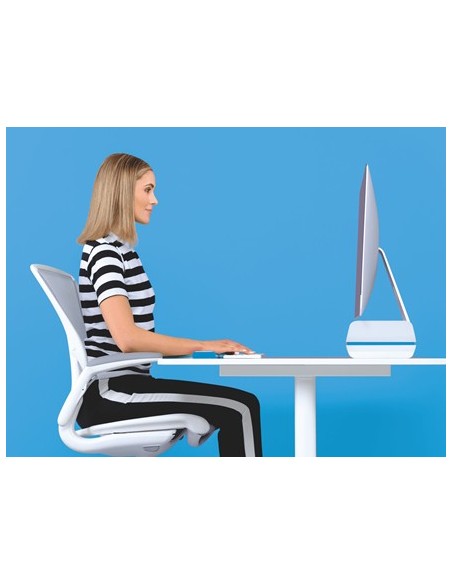 Leitz 65040036 supporto da tavolo per Tv a schermo piatto 68,6 cm (27") Blu, Bianco