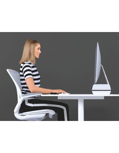 Leitz 65040095 supporto da tavolo per Tv a schermo piatto 68,6 cm (27") Bianco