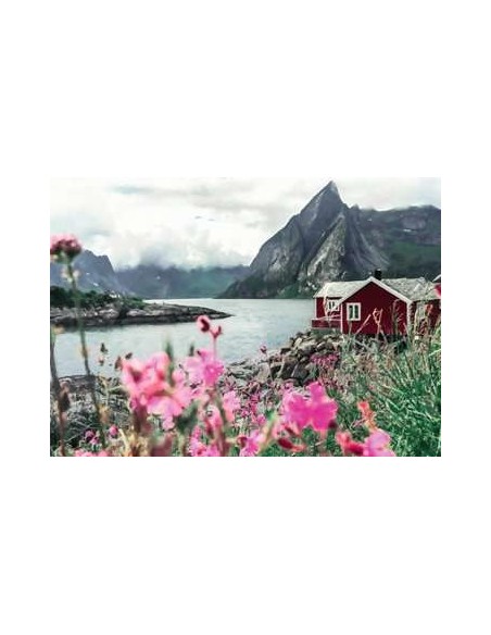 Ravensburger 16740 puzzle 1000 pz Landscape