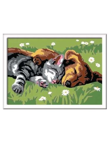 Ravensburger CreArt Sleeping Cats and Dogs Colore per kit di verniciatura in base ai numeri