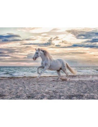 Ravensburger 16586 puzzle 500 pz Animali