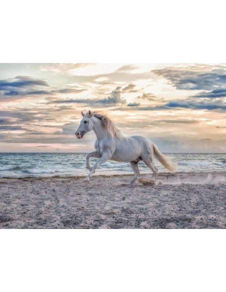 Ravensburger 16586 puzzle 500 pz Animali