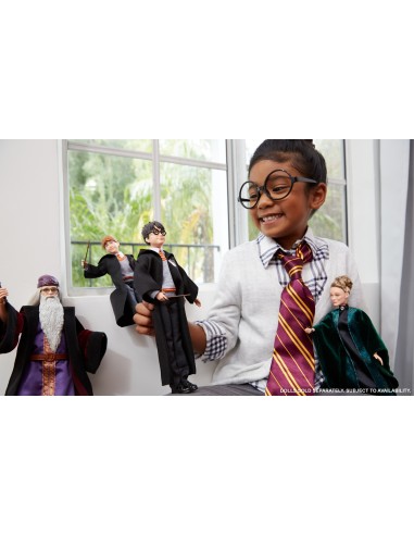 Harry Potter FYM50 bambola