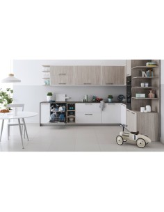 Indesit DBE 2B19 A X A scomparsa parziale 14 coperti F 2