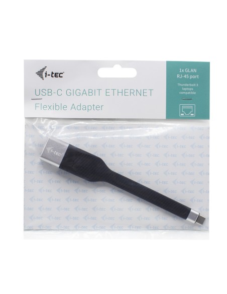 i-tec C31FLATLAN scheda di interfaccia e adattatore