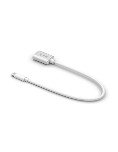 i-tec C31ADA cavo USB 0,2 m USB 3.2 Gen 2 (3.1 Gen 2) USB C USB A Bianco