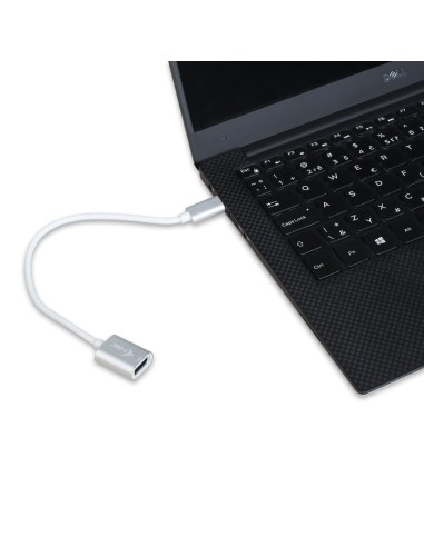 i-tec C31ADA cavo USB 0,2 m USB 3.2 Gen 2 (3.1 Gen 2) USB C USB A Bianco