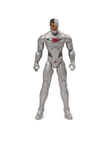 DC Comics Personaggi del mondo DC in scala 30 cm a Sorpresa, dai 3 anni