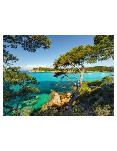 Ravensburger 16583 puzzle 500 pz Landscape