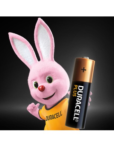 Duracell PLUS AA Batteria monouso Stilo AA Alcalino