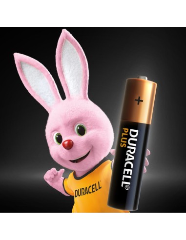 Duracell Plus 100 AAA B8 x10