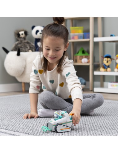 PAW Patrol | Veicolo spazzaneve di Everest | Veicolo e personaggio di Everest | Giochi per bambini dai 3 anni in su