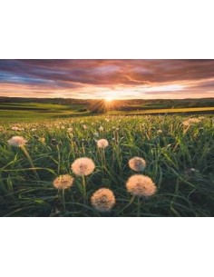 Ravensburger 16990 puzzle 500 pz Landscape 2