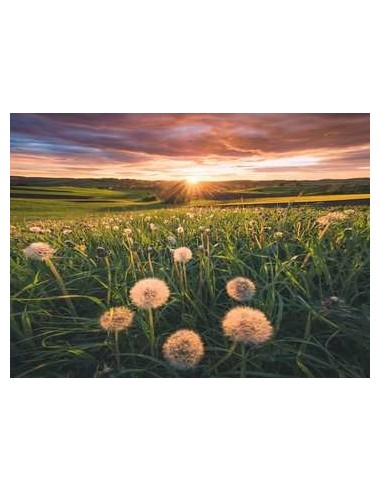 Ravensburger 16990 puzzle 500 pz Landscape