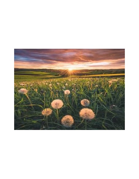 Ravensburger 16990 puzzle 500 pz Landscape