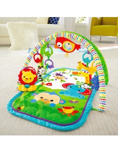Fisher-Price Everything Baby CHP85 palestra per bambino e tappeto di gioco Multicolore 2
