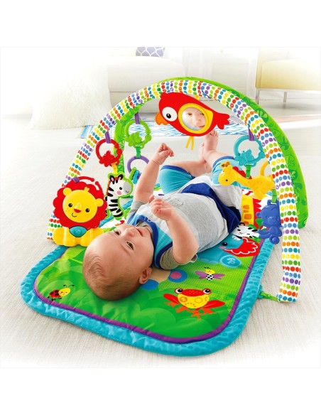 Fisher-Price Everything Baby CHP85 palestra per bambino e tappeto di gioco Multicolore
