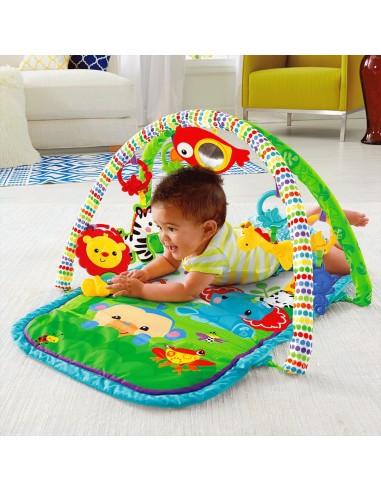 Fisher-Price Everything Baby CHP85 palestra per bambino e tappeto di gioco Multicolore