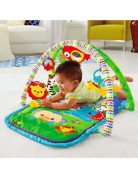 Fisher-Price Everything Baby CHP85 palestra per bambino e tappeto di gioco Multicolore