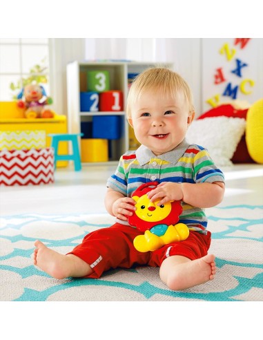 Fisher-Price Everything Baby CHP85 palestra per bambino e tappeto di gioco Multicolore