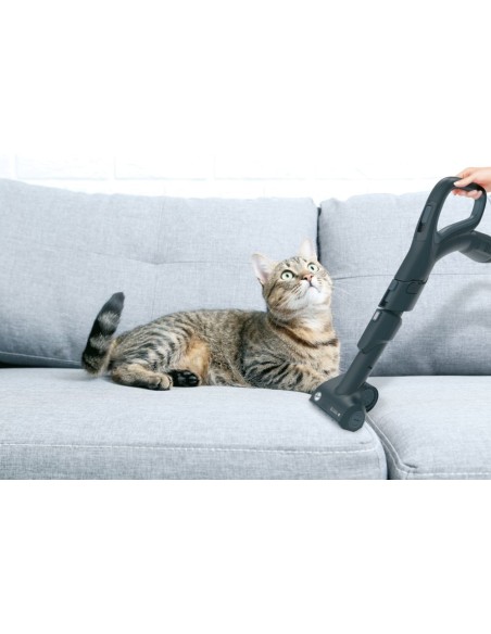 Hoover H-POWER 700 HP720PET 011 2 L A cilindro Secco 850 W Senza sacchetto