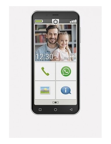 Emporia Smart.4 12,7 cm (5") SIM singola Android 10.0 4G USB tipo-C 3 GB 32 GB 2500 mAh Nero