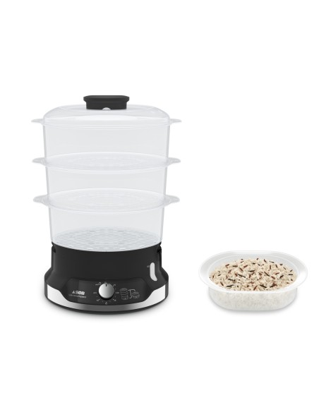 Tefal Ultracompact VAPORIERA VC2048