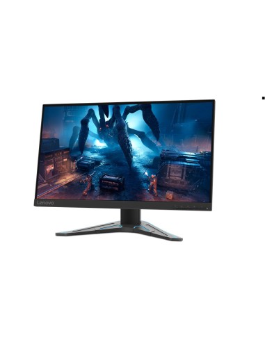 Lenovo G25-20 62,2 cm (24.5") 1920 x 1080 Pixel Nero