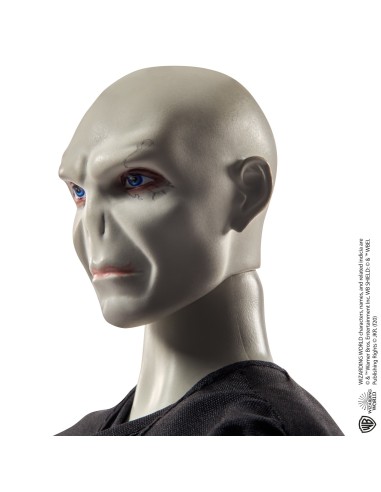 Harry Potter GNR38 toy figure