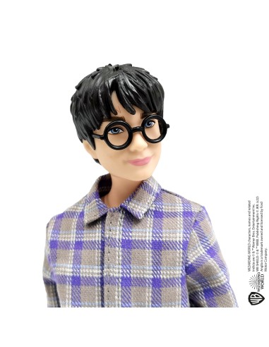 Harry Potter HHX03 bambola