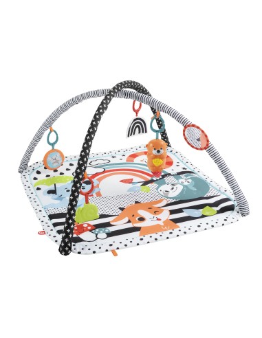 Fisher-Price HBP41 palestra per bambino e tappeto di gioco Multicolore Palestrina a tappeto per bambino