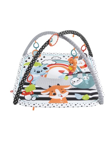 Fisher-Price HBP41 palestra per bambino e tappeto di gioco Multicolore Palestrina a tappeto per bambino