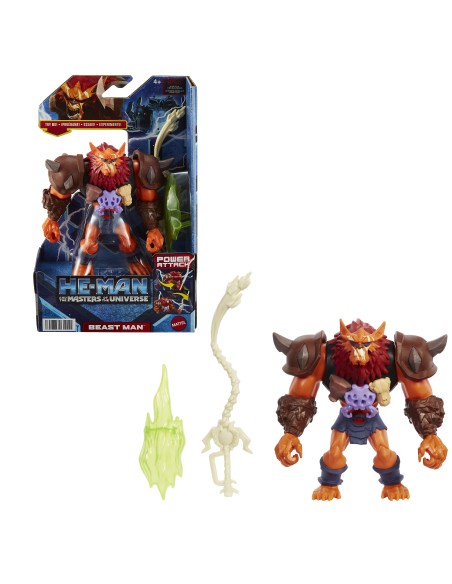 He-Man and the Masters of the Universe Assort