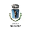 Comune Di Aprigliano